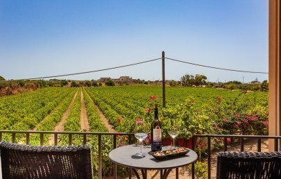 Junior Suite vineyards view
