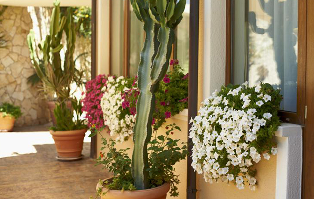 Hotel Raffael