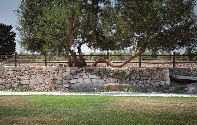 Masseria Prosperi